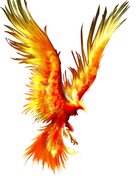 kisspng phoenix firebird tattoo mythology fireworks phoenix 5a9cac8de0f192.0806660115202172299214 1 - لیست سرورهای دیسکورد فارسی