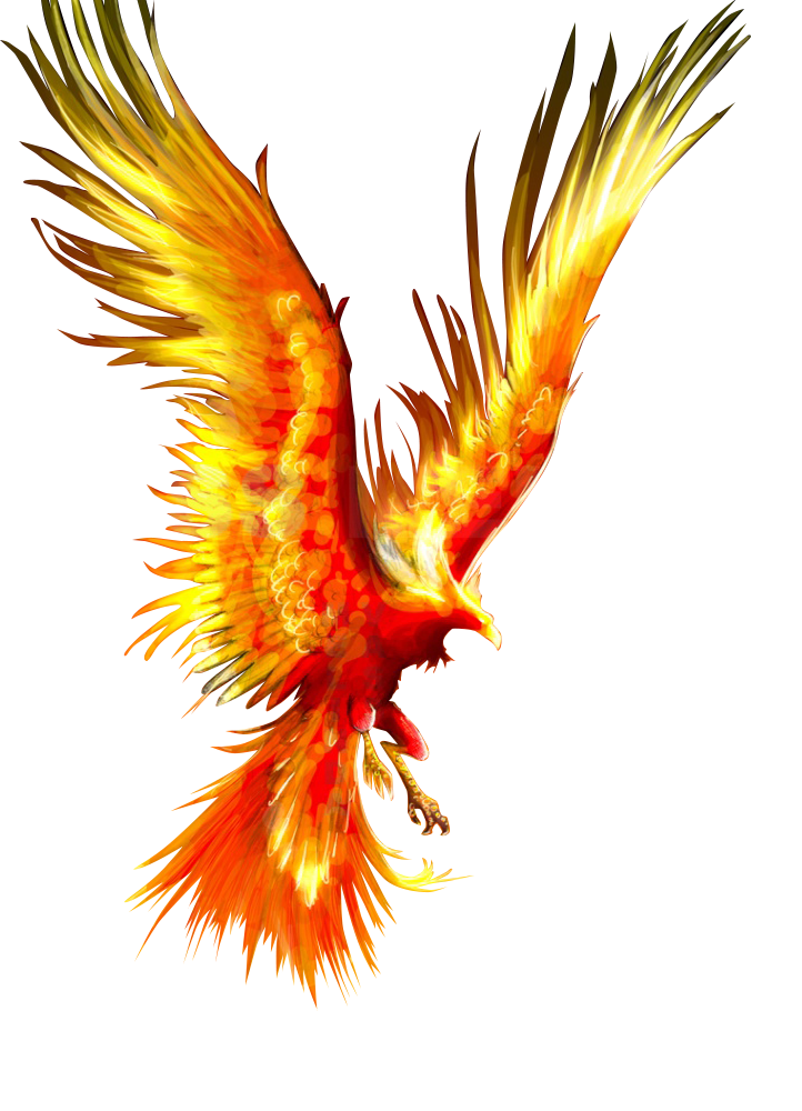 kisspng-phoenix-firebird-tattoo-mythology-fireworks-phoenix-5a9cac8de0f192.0806660115202172299214-1