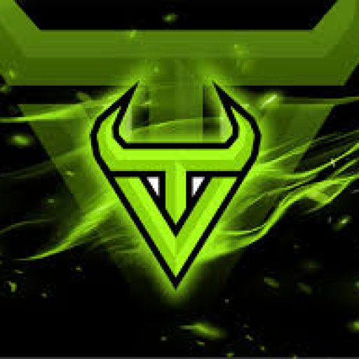 HamidVibrant
